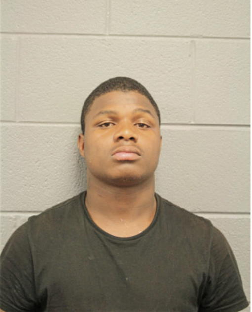 MICHAEL G GARETTE, Cook County, Illinois