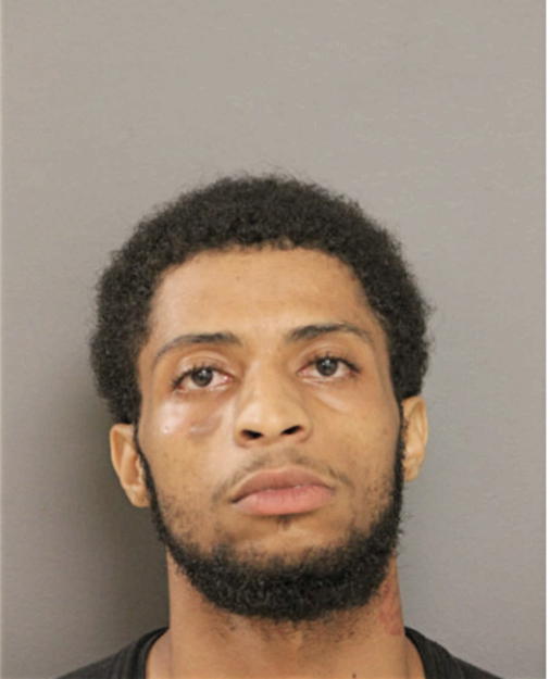 TRINIS M GARRETT, Cook County, Illinois
