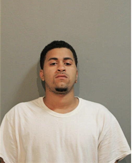 CHRISTOPHER G GEORGE, Cook County, Illinois