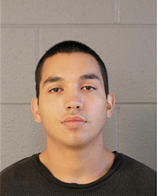 HECTOR L GUTIERREZ, Cook County, Illinois