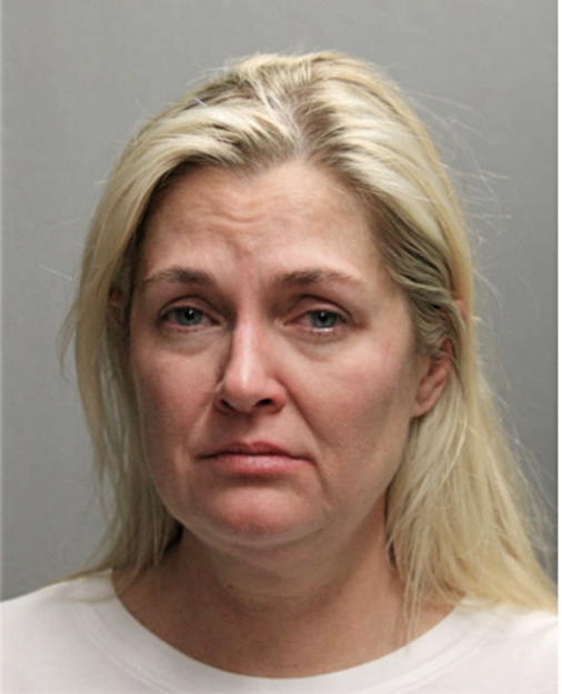 LISA L HOLSTEIN, Cook County, Illinois
