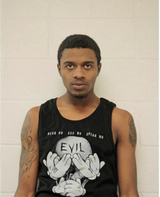 JONATHAN HUNT-LAKE, Cook County, Illinois