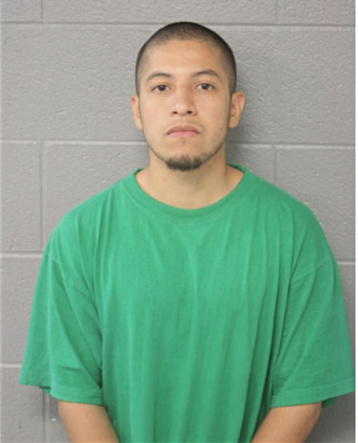 FERNANDO LARA, Cook County, Illinois