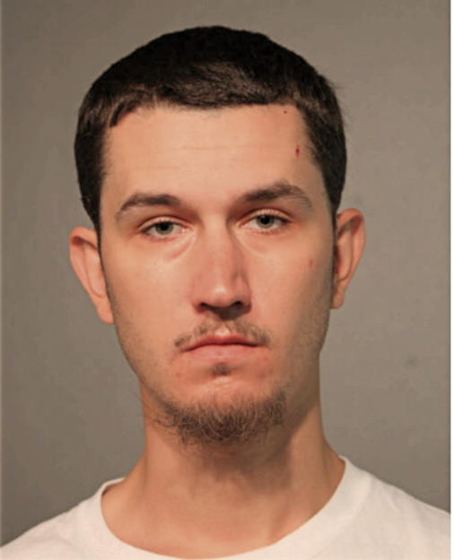 CHRIS LARSEN, Cook County, Illinois