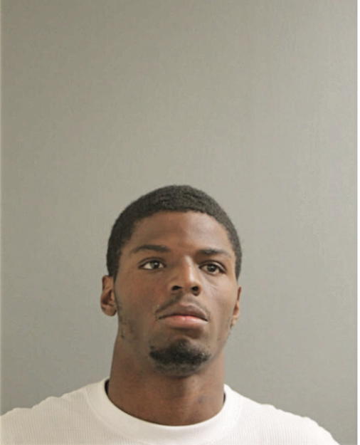 CHRISTOPHER D LOVING, Cook County, Illinois
