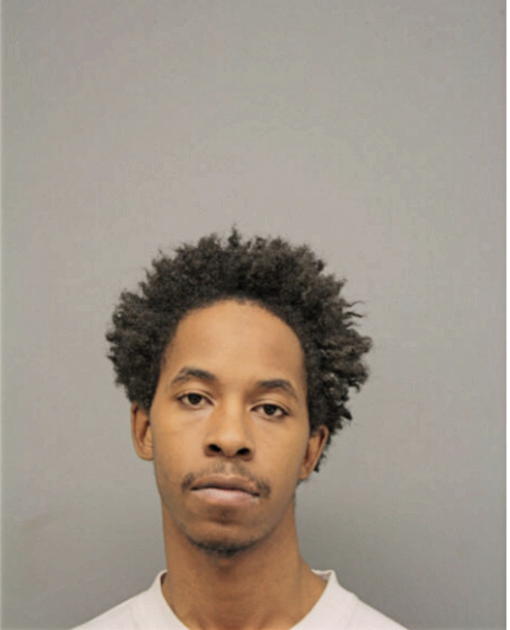DEANGELO G MAXEY, Cook County, Illinois
