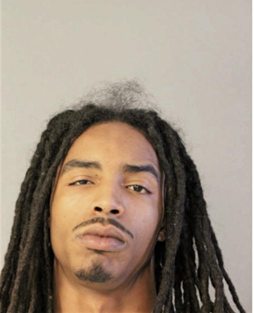 LENARD J MCKINNIS, Cook County, Illinois