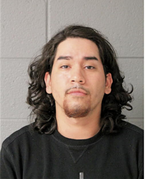 DAVE MENDEZ, Cook County, Illinois