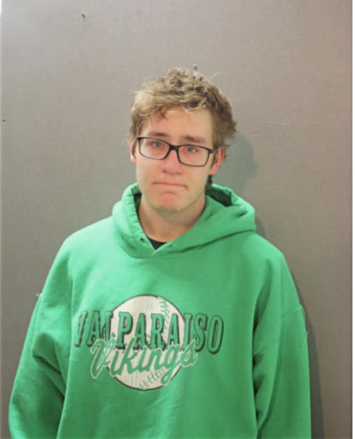 ETHAN H MOSER, Cook County, Illinois