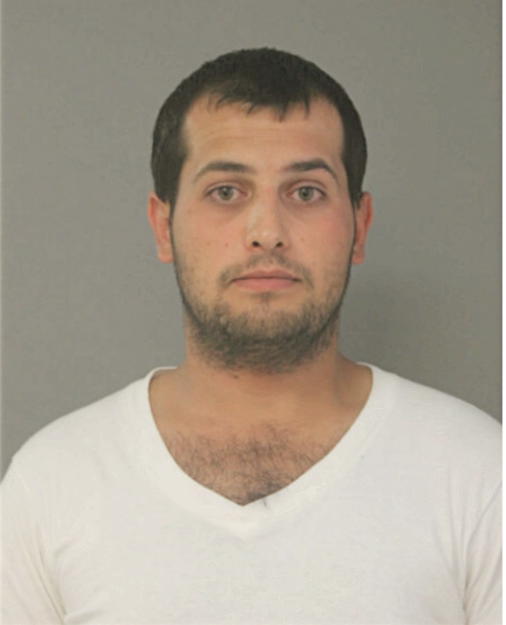 AYMAN A OWAYNAT, Cook County, Illinois