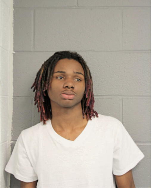 TRACY L PARKS, Cook County, Illinois