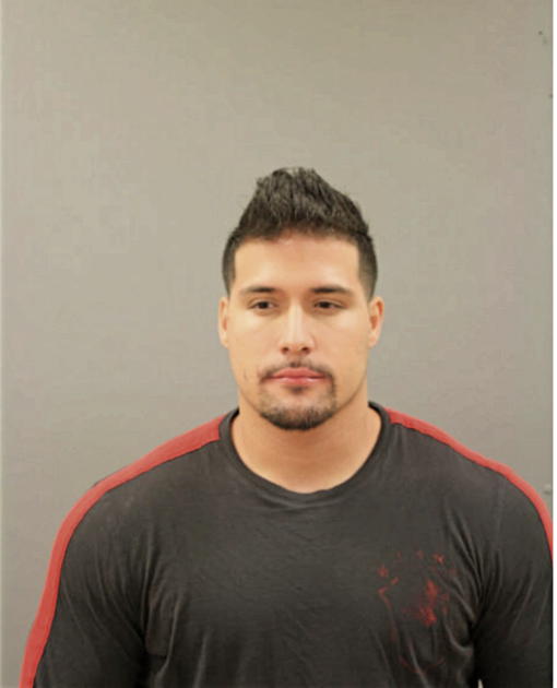 JOEL RIVERA, Cook County, Illinois