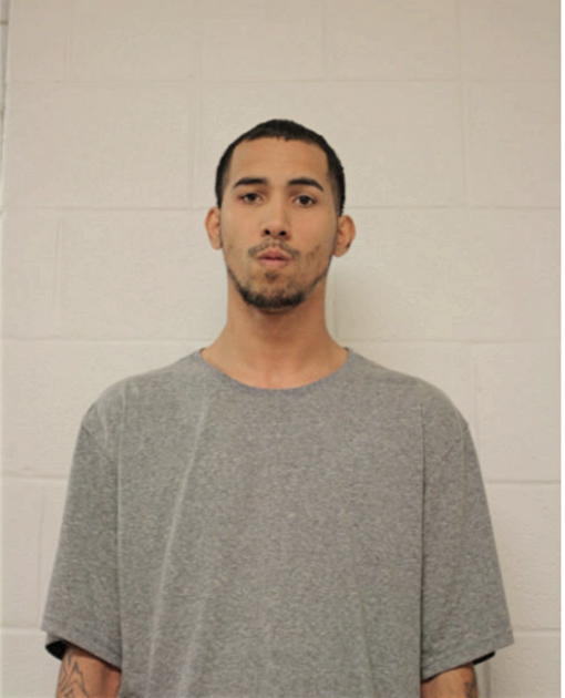 STEVEN ROMAN, Cook County, Illinois