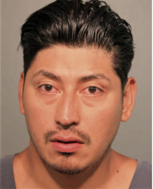 PABLO SARACUA, Cook County, Illinois