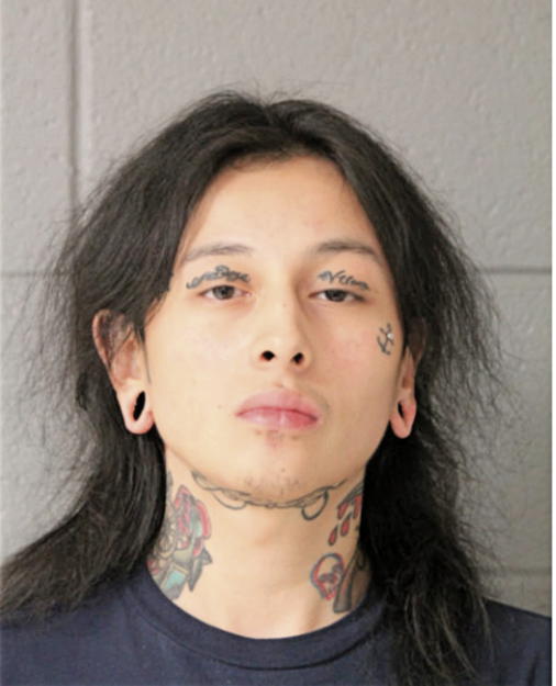 MARK E SAROLAS, Cook County, Illinois