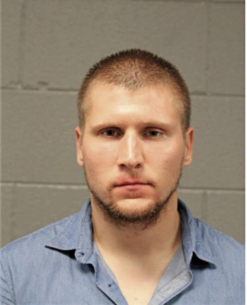 LUKA SAVIC, Cook County, Illinois