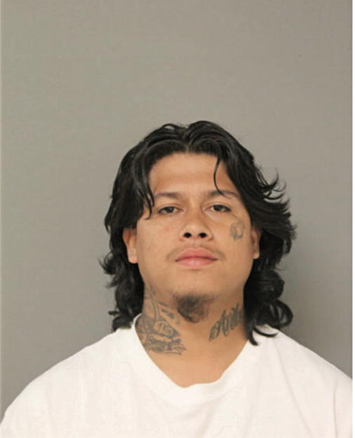 MARCO A TAVIRA, Cook County, Illinois