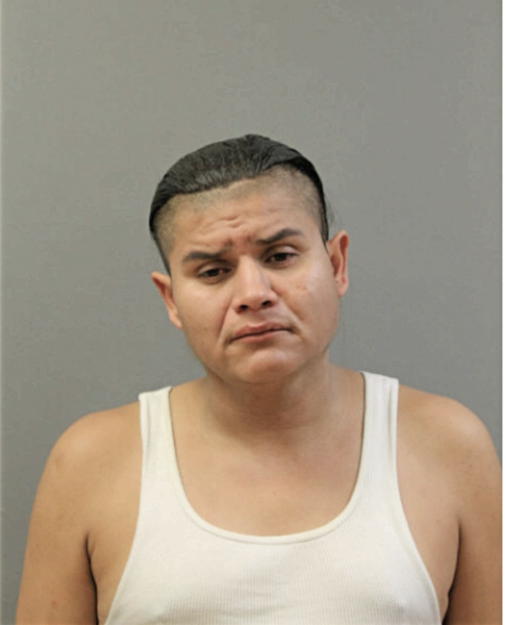 SANDRO Q TORRES, Cook County, Illinois
