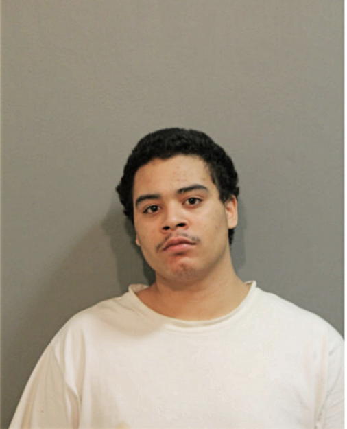 HOSEA D WOODSON, Cook County, Illinois