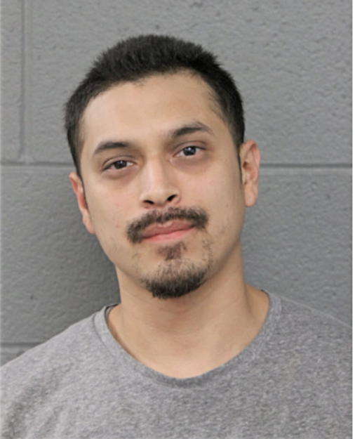 RODOLFO JR ZARCO, Cook County, Illinois