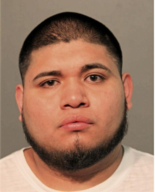 DANIEL I AVILES, Cook County, Illinois