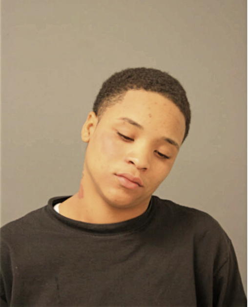 NIKKITA L BURRIS-PATTON, Cook County, Illinois
