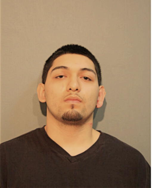 JULIO CORTES, Cook County, Illinois