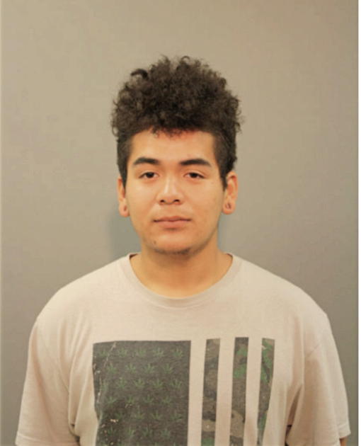 MARIO A DOMINGUEZ, Cook County, Illinois