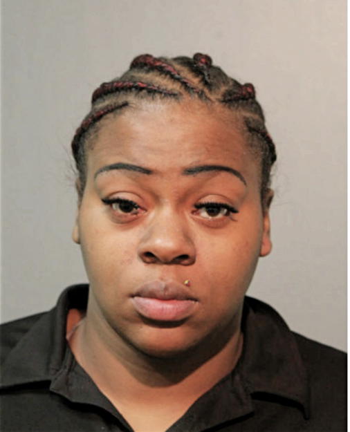 ASHLEY S FIELDS, Cook County, Illinois