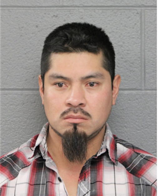 HUMBERTO GONZALEZ, Cook County, Illinois