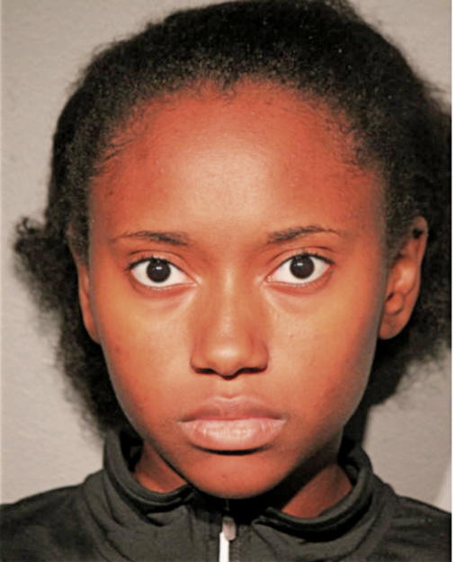 LESLIE S HARRELL, Cook County, Illinois