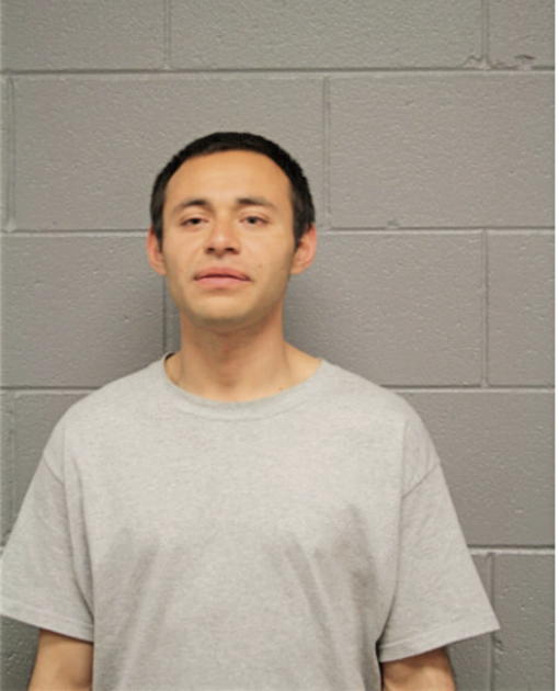 JOEY L HUBER, Cook County, Illinois