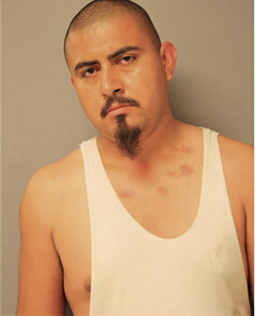 JORGE MARTINEZ, Cook County, Illinois