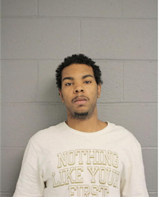 LORENZO N MCKINNEY, Cook County, Illinois