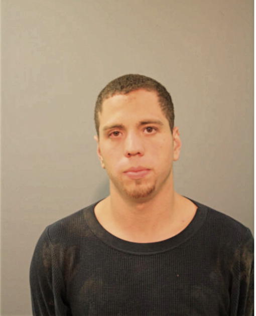 LUIS X MORALES, Cook County, Illinois