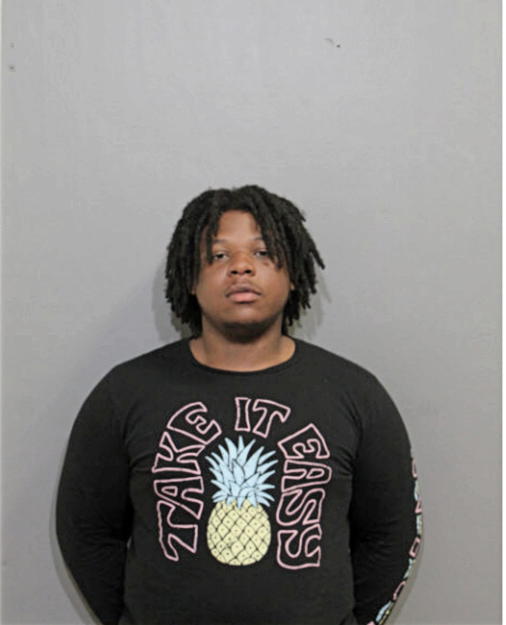 GREGORY J NEAL, Cook County, Illinois