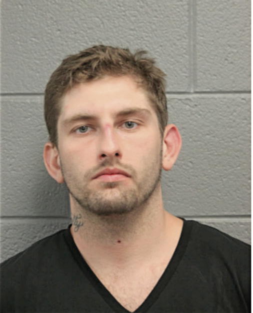 LUKE NIEDZIELA, Cook County, Illinois