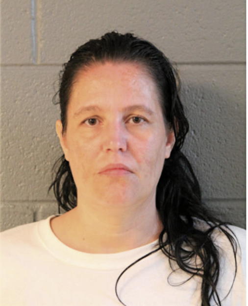 BRANDI L NIESEN, Cook County, Illinois