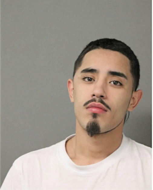 ANGEL L RAMOS, Cook County, Illinois