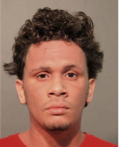 ADAM REYES, Cook County, Illinois