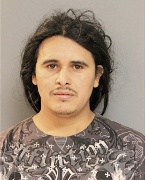 FREDDY A ROCHA, Cook County, Illinois