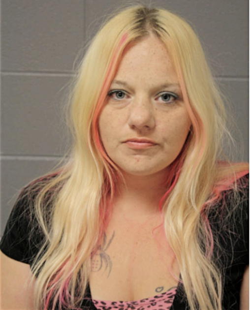 KATIE VANDAM, Cook County, Illinois