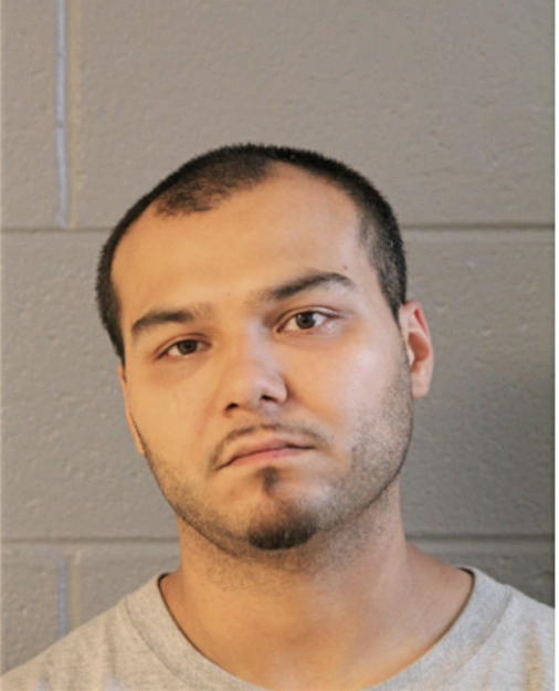 MARCO A ZAMORA, Cook County, Illinois