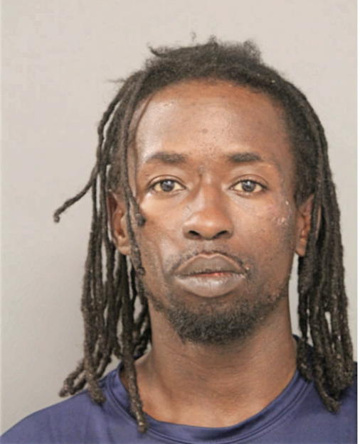 DION D ANDERSON, Cook County, Illinois