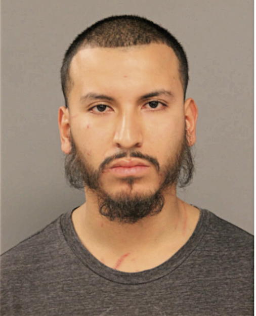 JULIO AVILES, Cook County, Illinois