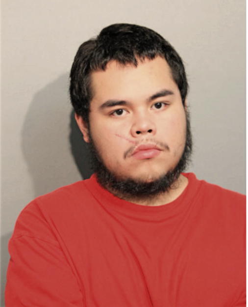 CARLOS CRUZ, Cook County, Illinois