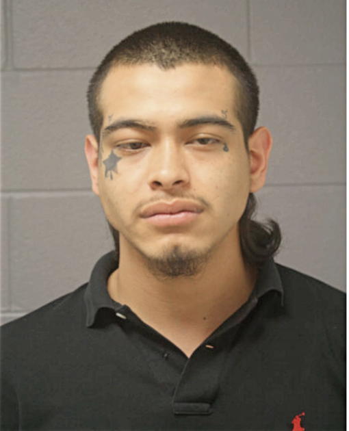 FELIX I DELGADO, Cook County, Illinois