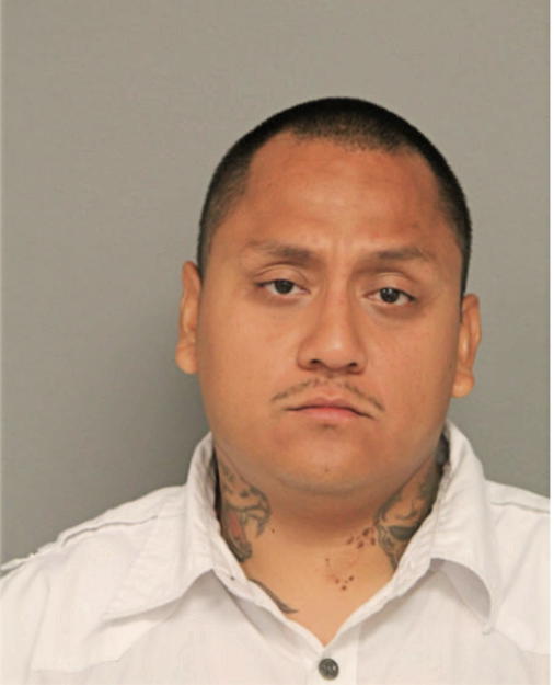 ROBERTO A GAMEZ, Cook County, Illinois