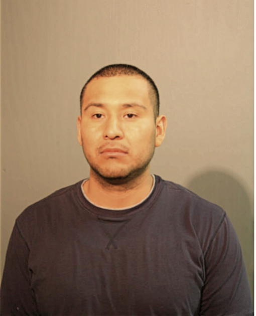 FERNANDO GRANDE-MILAN, Cook County, Illinois