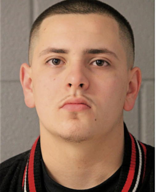 STEVE M HEIDDEGGER, Cook County, Illinois
